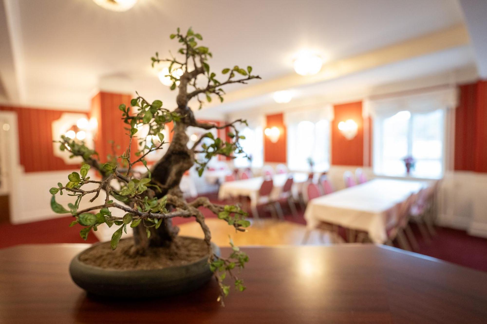 Frederiksvaerk Hotel Buitenkant foto